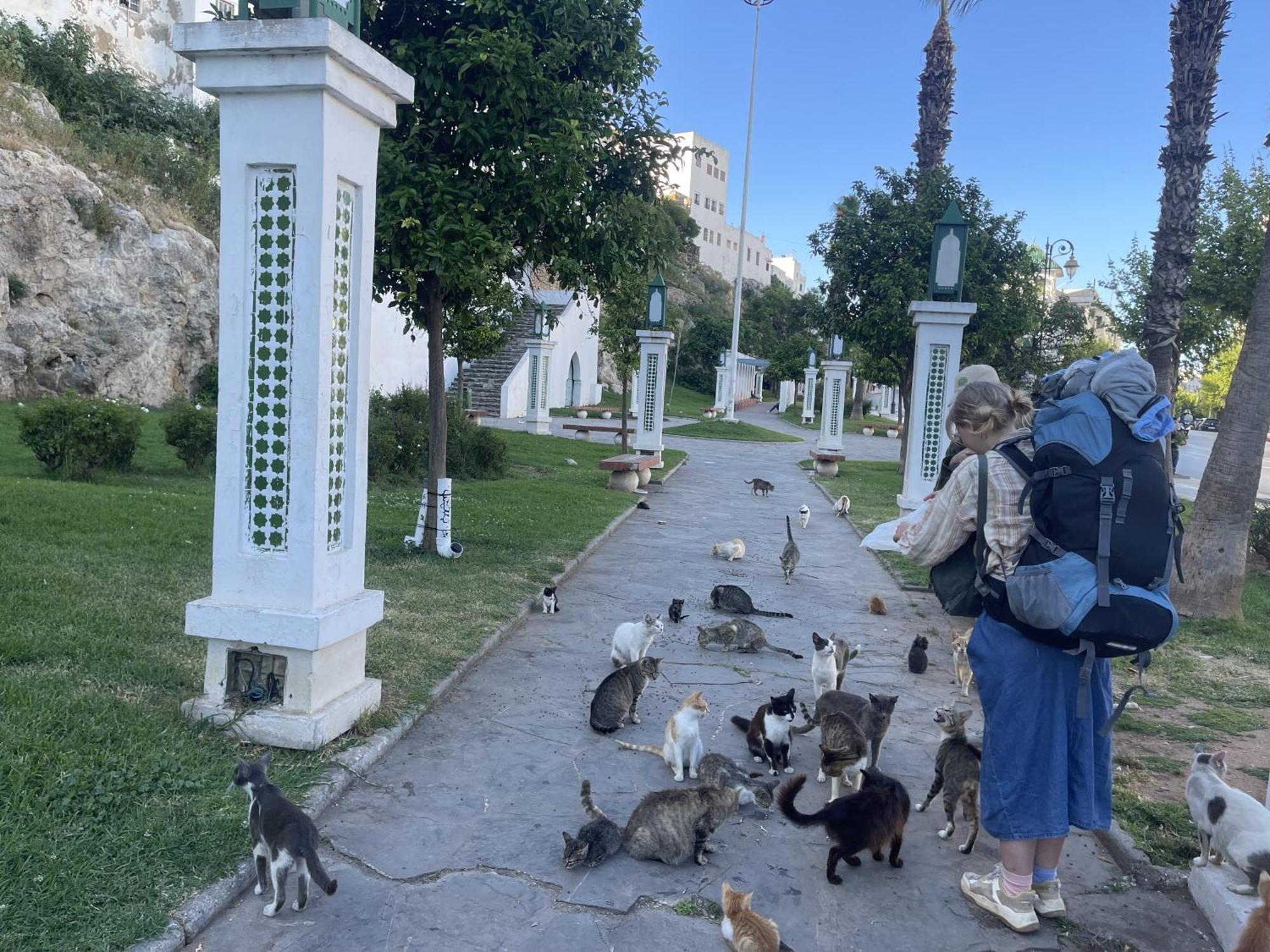 Ostello Casa Marwan Tétouan Esterno foto