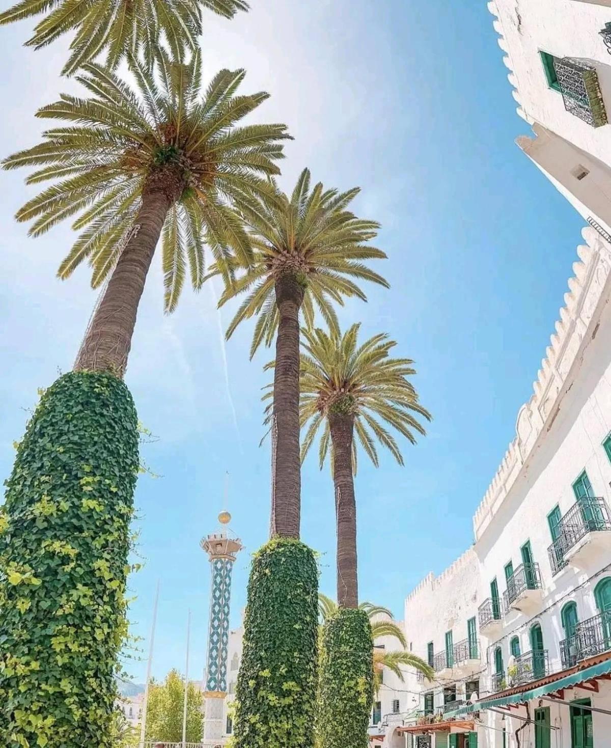 Ostello Casa Marwan Tétouan Esterno foto