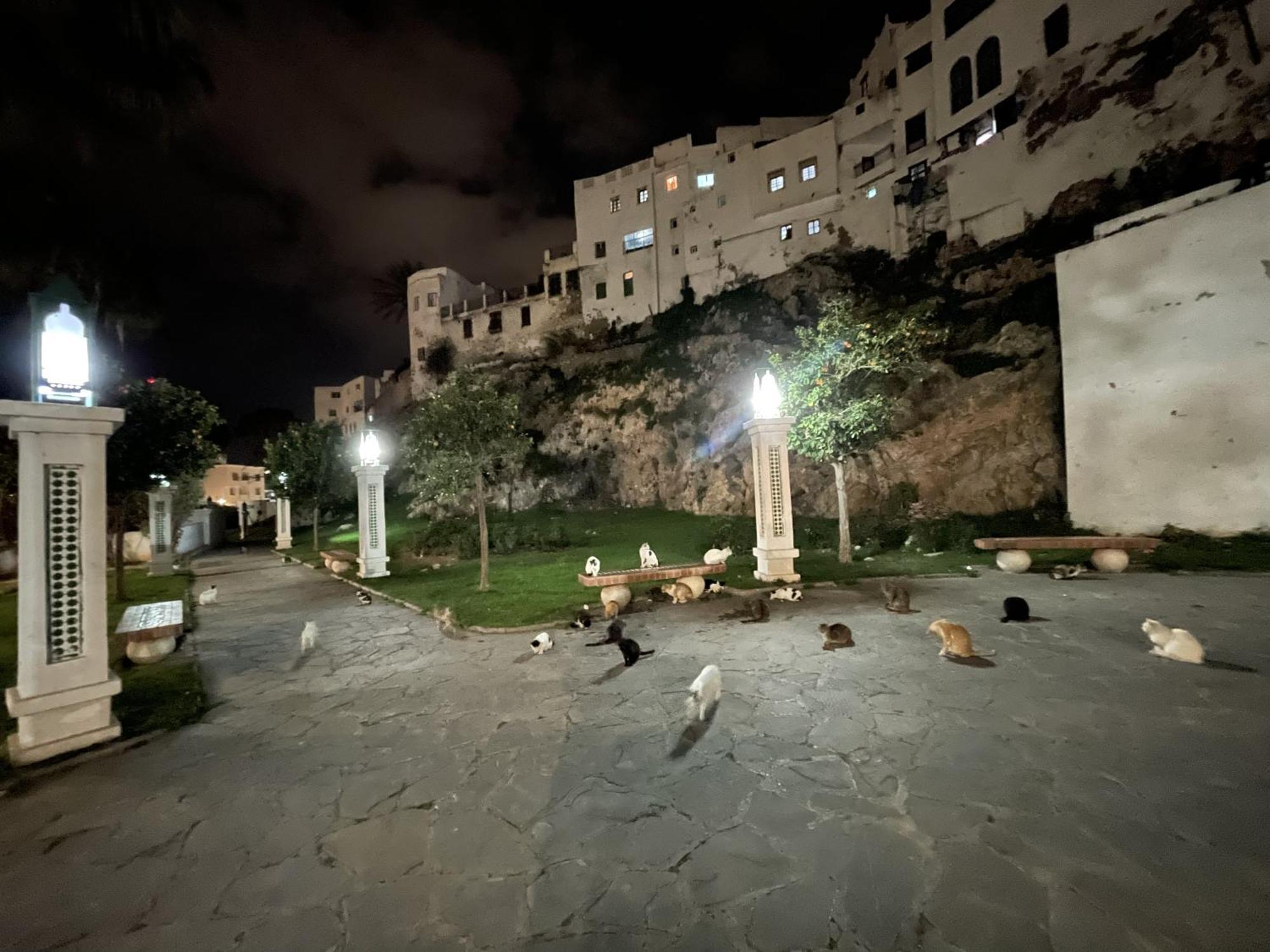 Ostello Casa Marwan Tétouan Esterno foto